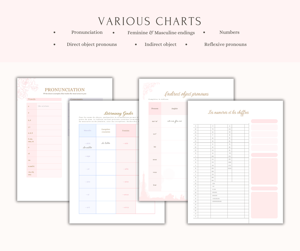Paris Summer Dream: French Language Journal