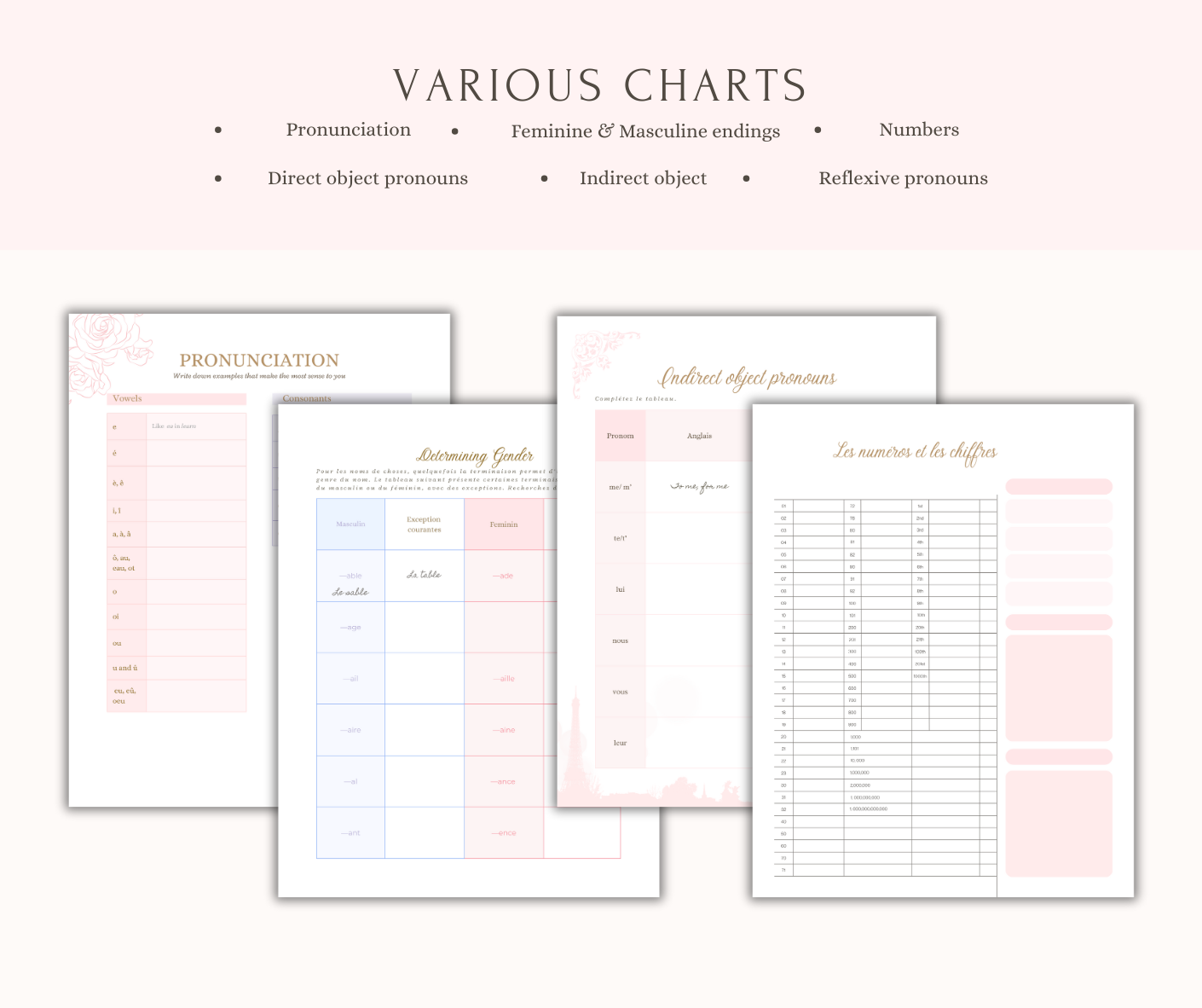 Paris Summer Dream: French Language Journal