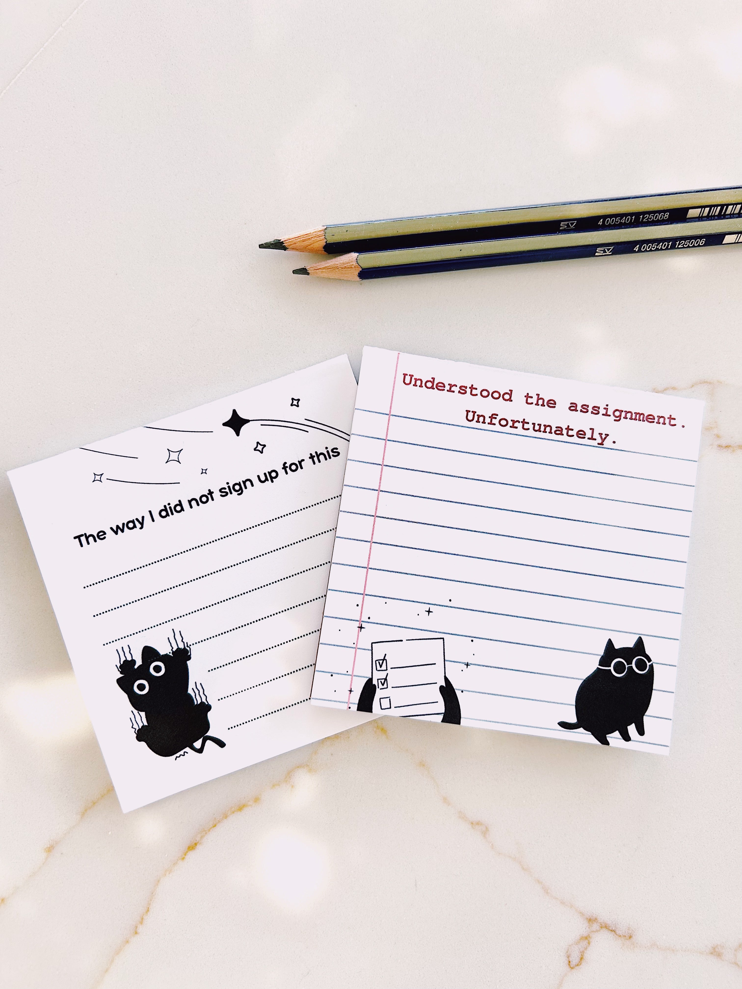 The Pawper Memo Notes
