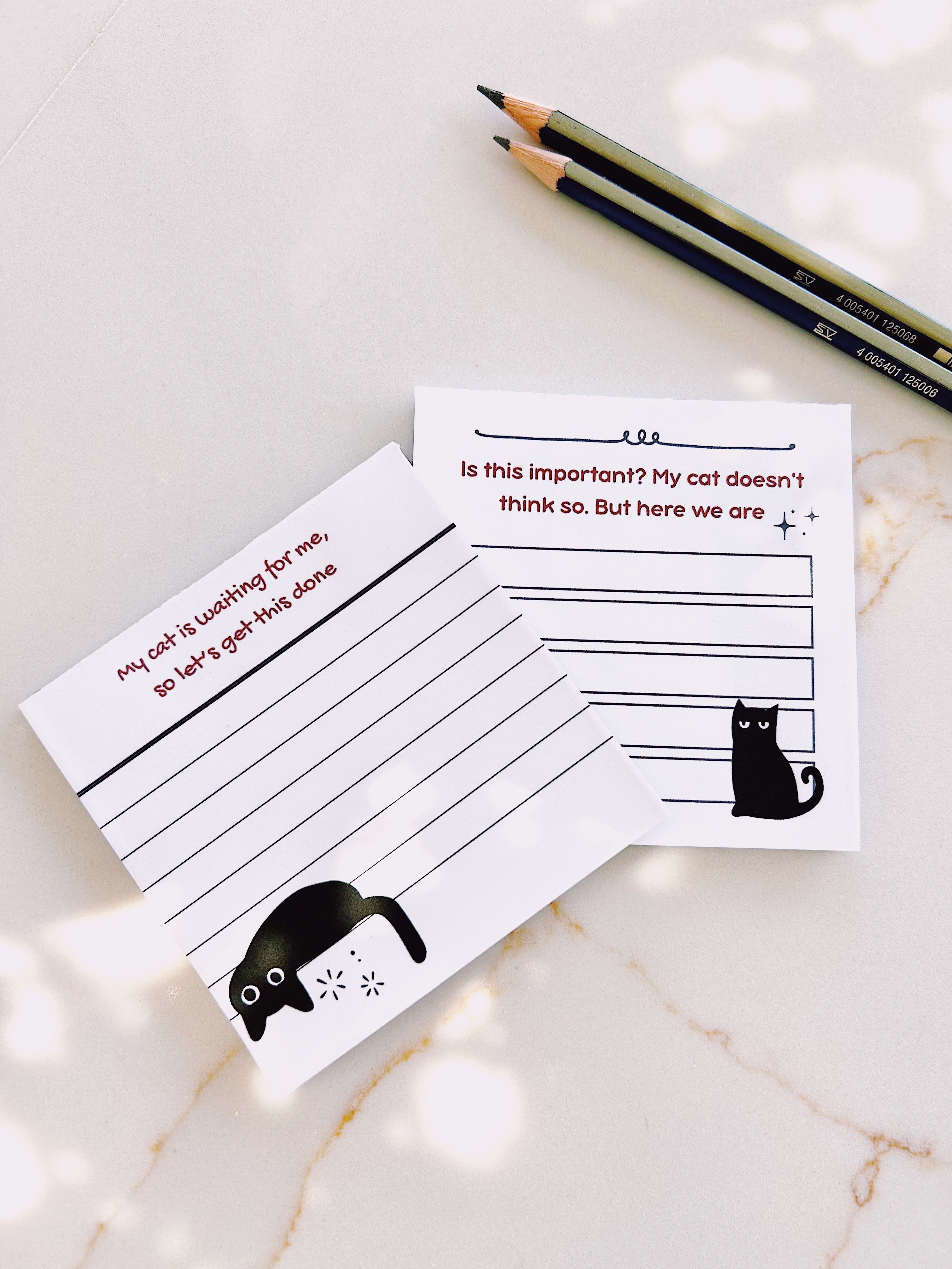The Pawper Memo Notes