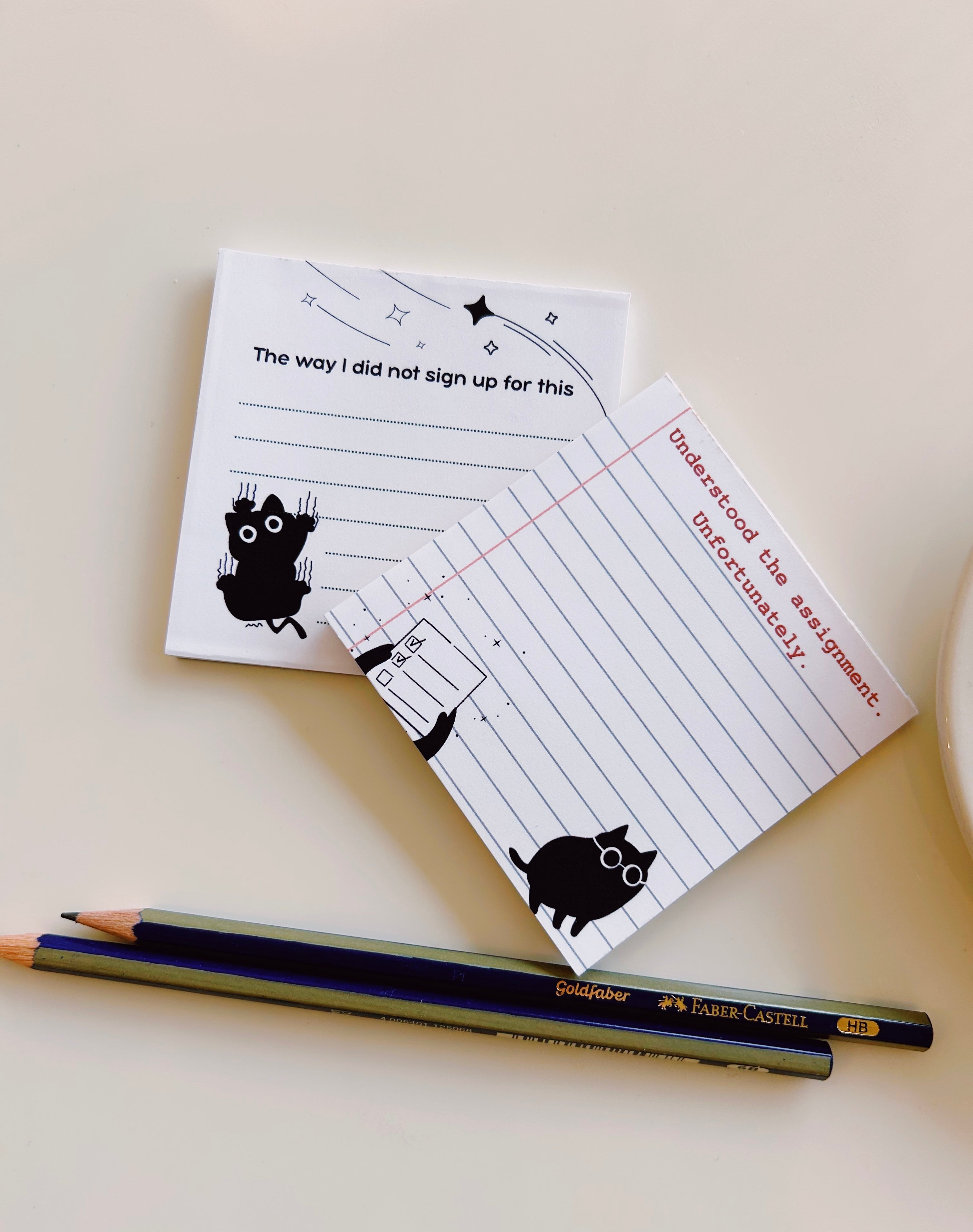 The Pawper Memo Notes